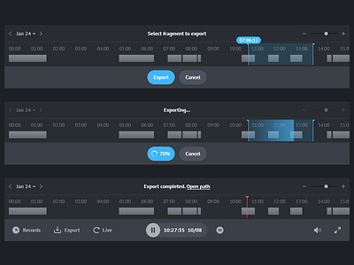 Timeline - Export Records
