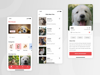 Pet house aesthetics dribbble illustration petlover task ui uxui