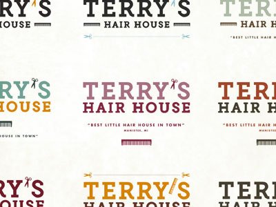 Terry's Hair House Logo Options logo haircut color options