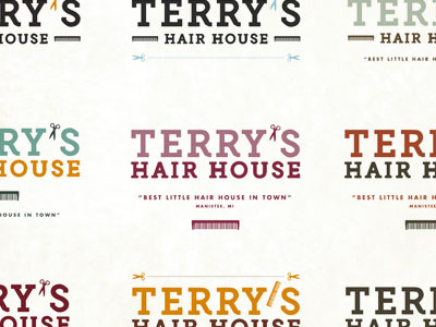 Terry's Hair House Logo Options color options haircut logo