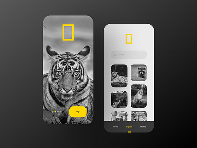 NatGeo Concept app dribbble reduced animals black and yellow concept design dark app dark app design lions minimal app national geographic simple app