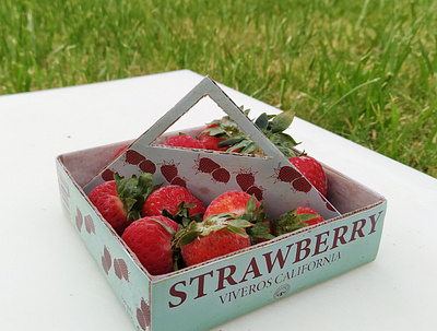 Viveros California Packaging branding design illustration logo packaging strawberry sustainable typogaphy vector