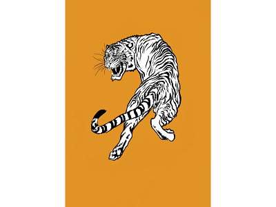 tiger design illustration vector