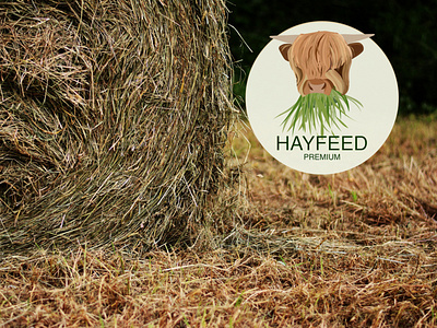 Hayfeed art branding cowfeed design graphic design hayfeed illustration product design vector
