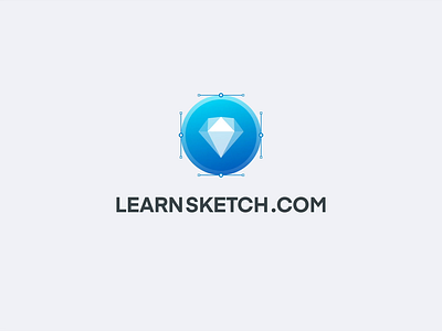 LearnSketch.com 2020 Animation animation design gif logo sketch typography