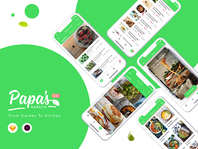 Papa's Garden app food organic food sketch uidesign uiux