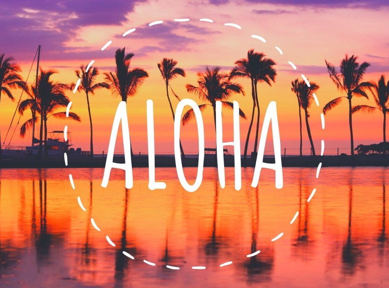 Aloha Bali Beach by Muhammad Sohaib on Dribbble