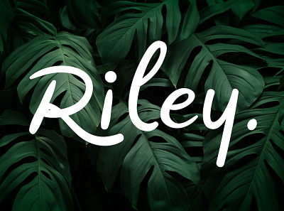 Riley Font branding craft font font design friendly handcraft handmade handwritten lettering type