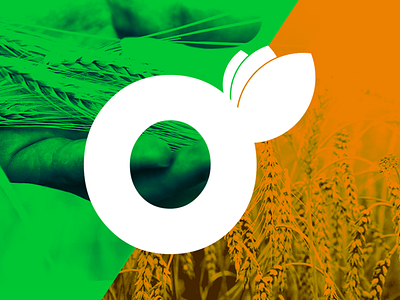 Agronatural agriculture branding logo design