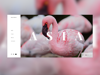 First screen | Asia animals asia first screen flamingo ui ux web design