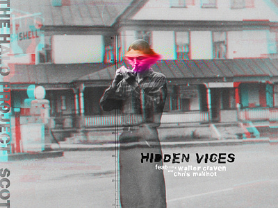 Hidden Vices