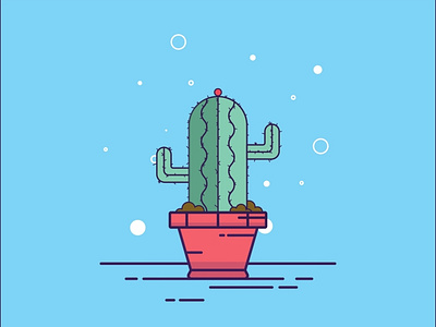 Cactus