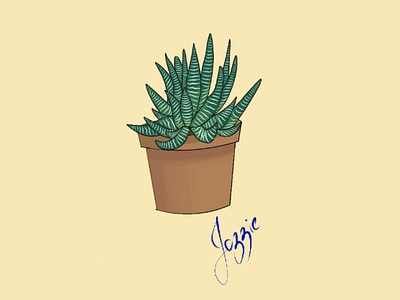 Haworthia fasciata graphics illustration minimal wallpaper plant illustration vector graphics wallpaper