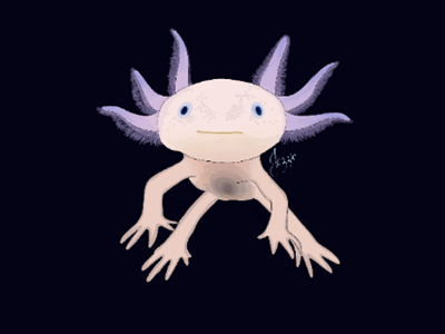 Axolotl animal animal portrait digital art graphic illustration preservation vector vector painting