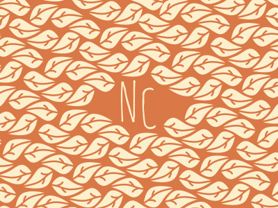 Naturally Curious Nature Walks business card logo