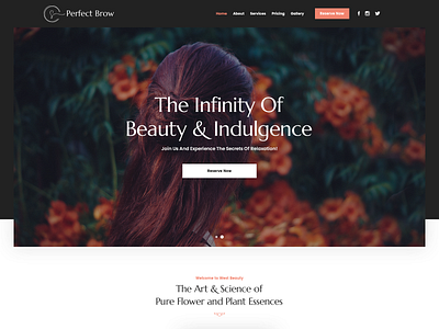 Perfect Brow -Homepage by Yasin Shaikh beauty salon design plus ux design yasin shaikh