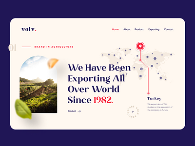 Volv- Web Design