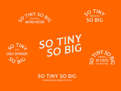 So Tiny So Big Explorations identity logo design logos logotype typography wordmark