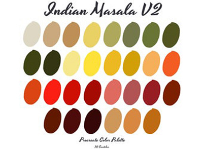 INDIAN MASALA V2 Color Palette animation app art branding design fonts graphicdesign icon typography web