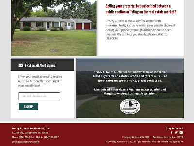 Auctioneer Website Redesign - Homepage