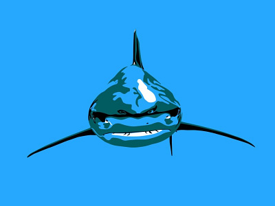 shark animal design graphic illustration picture shark simple vector vector drawing water