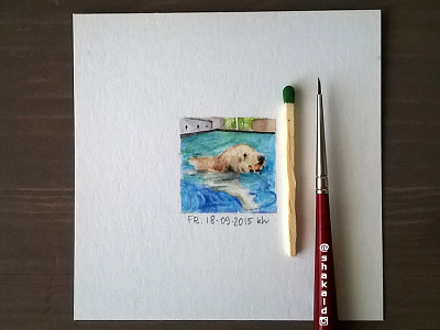 Swimming dog note - 25x25 mm watercolor animal aquarell detail dog illustration painting pool rendering sketch swimming water watercolor