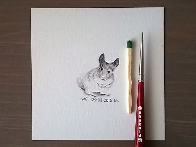 Chinchilla - 25x25 mm watercolor note animal aquarelle chinchilla detail painting pet rodent sketch small study watercolor