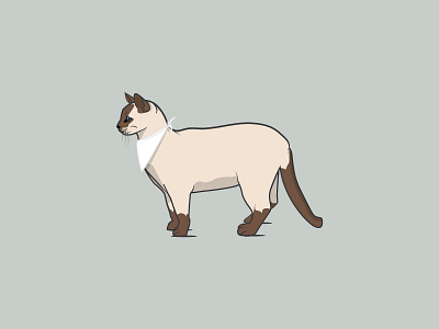 This cat is wearing a bandana cat vector illustration siamese