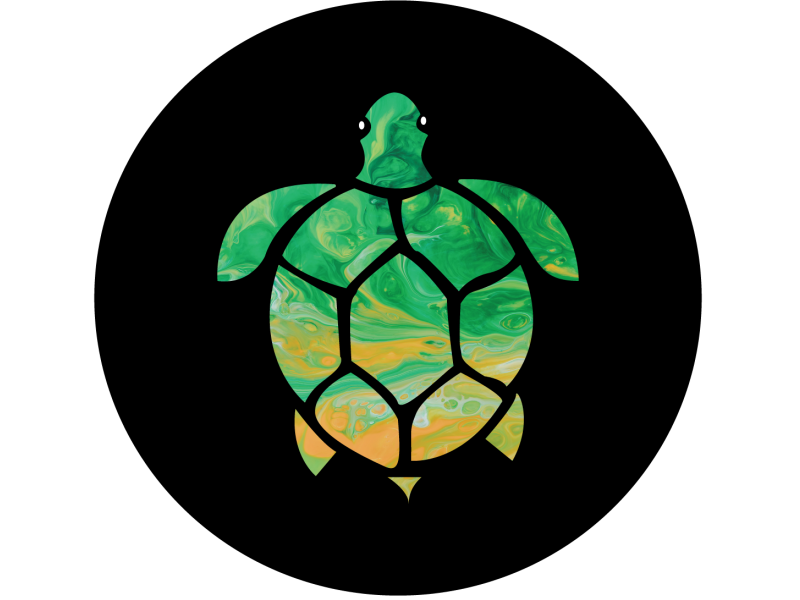 Tortoise illustrator by Naima Mumu on Dribbble