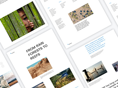 World Wildlife Fund - Corporate UI/UX Website Design Concept