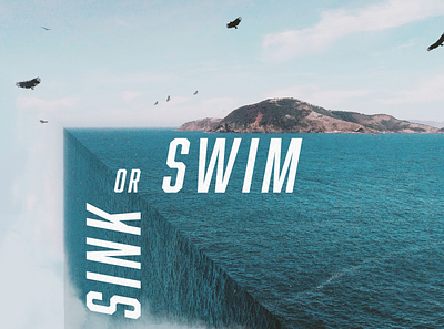 Sink or Swim design typography