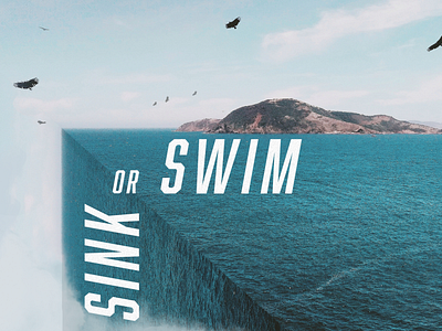 Sink or Swim