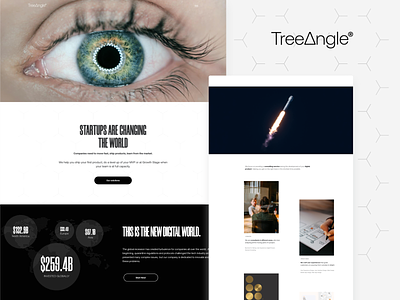 Treeangle - IT Consulting for Startups app branding consulting design illustration interface landing page logo startup ui ux web web design