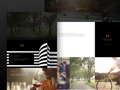 Nila Real Estate - Landing Page architecture landing page real state web design