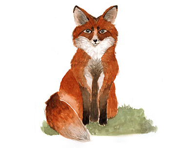 Fox book children fox illustration kids watercolor