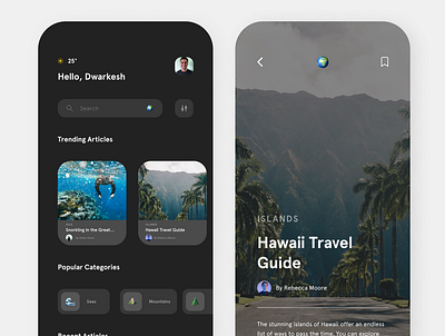 Travel App 1 app branding design illustration illustrator minimal ui ux web website