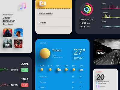 MacOS Widgets Concept app apple apple design branding design illustrator macos minimal ui ux web