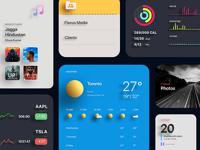 MacOS Widgets Concept