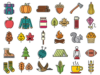 36 Symbols of Fall design illustration ui ui design ux vector web