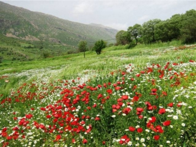 kurdistan