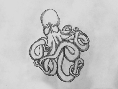 Octopus draw black white draw illustration lapiz octopus papel paper pencil photoshop