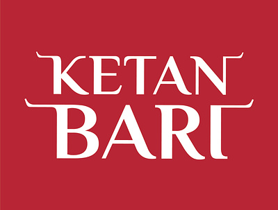 Ketan Bari Logo design food logo logo design logotype southsumatera traditional typography
