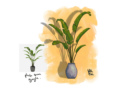 Plant form reference 2d art artwork digital draw digital painting digitalart green illustration invitation painting plant plant illustration pot