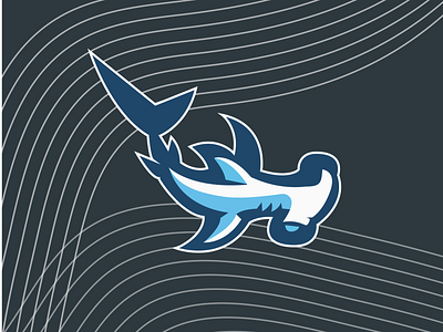SHARK design illustration sharks акула