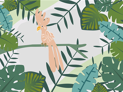 Джунгли design illustration джунгли животные