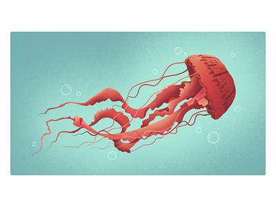 Jellyfish graphic design illustration
