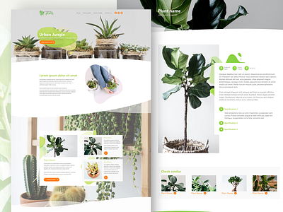 EverydayPlants - house plant gardening website concept design desktop landing page plants rwd ui ui design web webdesign website website concept