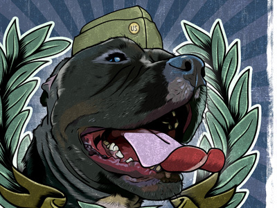 Sgt Staffy