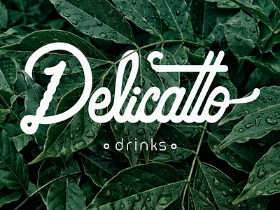 Delicatto Drinks - Visual Identity design drinks illustrator lettering logotype type visual identity
