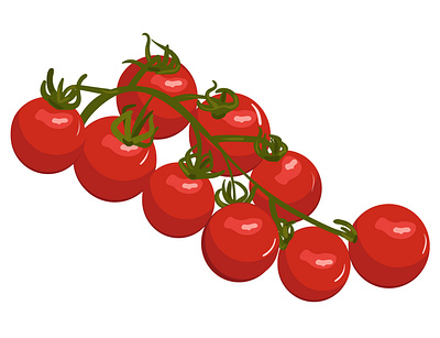 Tomatoes on a branch. Vector illustration branch